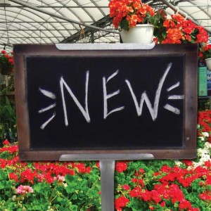 Chalkboard Signs (MasterTag)