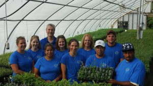Great Things In Store For North Creek Nurseries