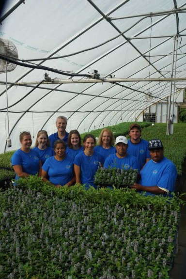 North Creek Nurseries Management Team