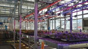 Defining Precision Horticulture