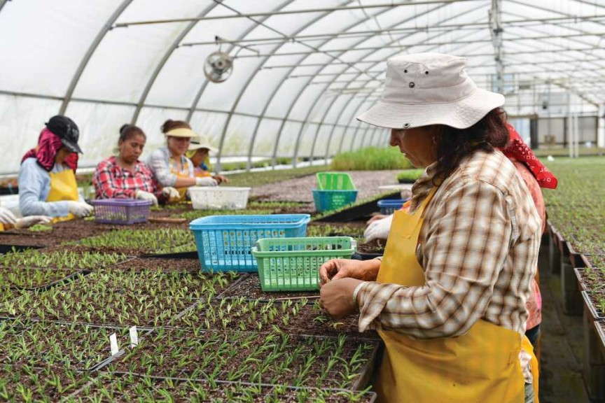 Bringing The Work To The Employees