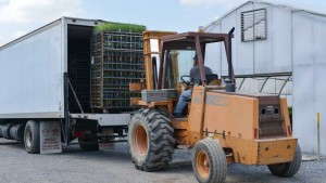 New Trucking Regulations Multiply Shipping Headaches