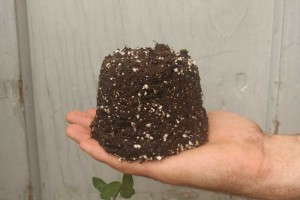 Inspecting Pots For Water Saturation