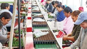 Is Lean Flow The Competitive Edge You Need?