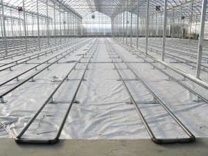Luminosa Series (Harnois Greenhouses)