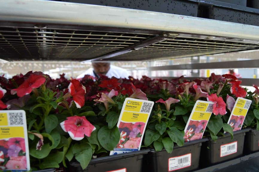 DemandLink Integration For Grower Vertical (Practical Software Solutions)