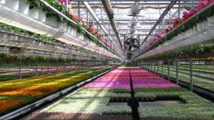New Products For Precision Growing