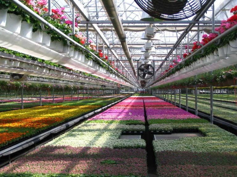 Space Management Software (Practical Software Solutions)