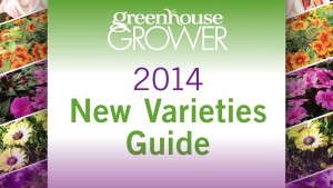 23 New Perennials From Beekenkamp, Cultivaris, Green Fuse Botanicals, HGTV And More [Slideshow]