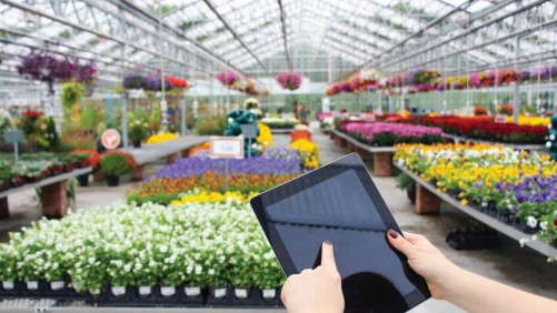 How To Get The Digital Generation Into The Garden: Garden Media’s Guide To  Marketing To Millennials