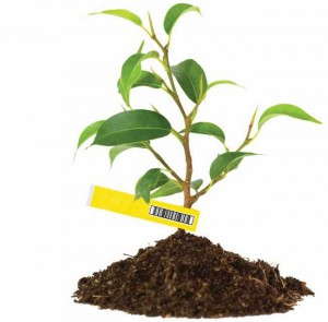 Tyvek Plant ID Tags (Artemax)