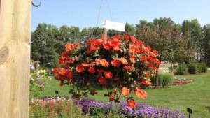 2014 Field Trials Results: University Of Minnesota (Morris, Minn.)