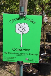 Make Small Orders Count