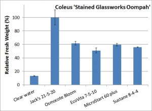 Figure1. Coleus 'Stained Glassworks Oompah'