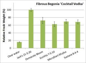 Figure2. Fibrous begonia 'Cocktail Vodka'