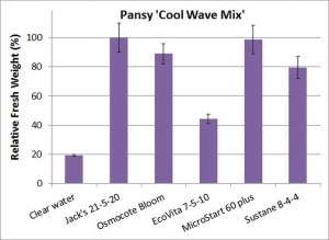 Figure3. Pansy Cool Wave Mix