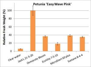 Figure 4. Petunia 'Easy Wave Pink'