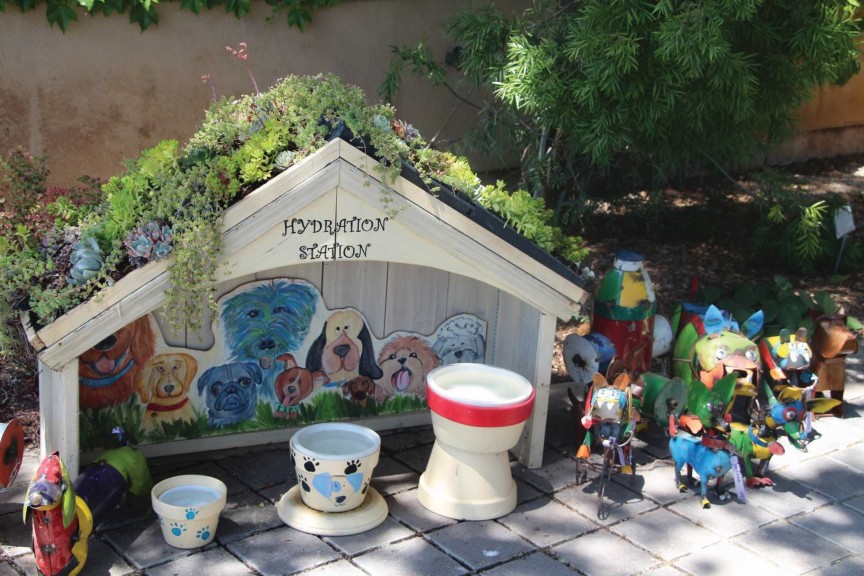 Offer A Pet Hydration Station