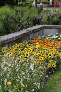 Trial bed at Michigan State University