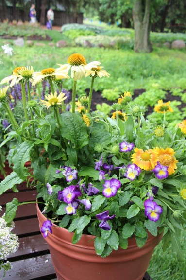 Perennial combos