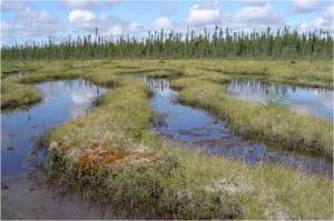 La Grande River Region 