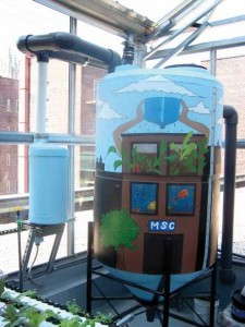 Rainwater Harvester At The Manhattan School For Children