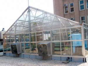 BrightFarms Original Project At The Manhattan School for Children