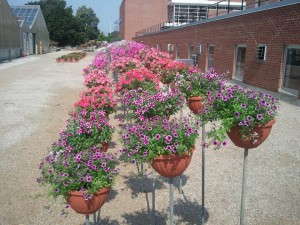 Container trials at Ohio State University