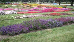 2014 Field Trials Results