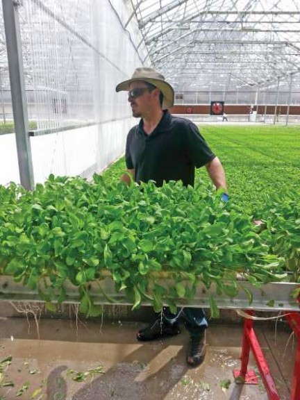 BrightFarm's Director Of Agriculture Graham Tucker