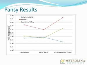 Pansy Results For Fresh Mass