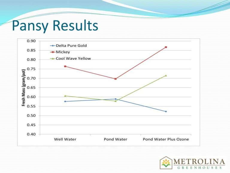 Pansy Results For Fresh Mass
