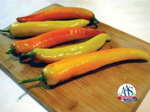Pepper 'Hot Sunset'