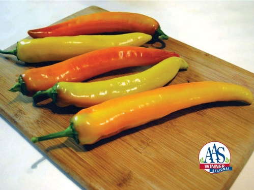 Pepper 'Hot Sunset'