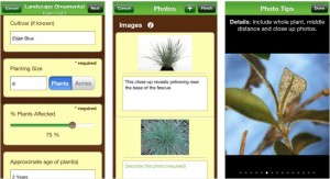5. Plant Diagnostic Sample Submission
