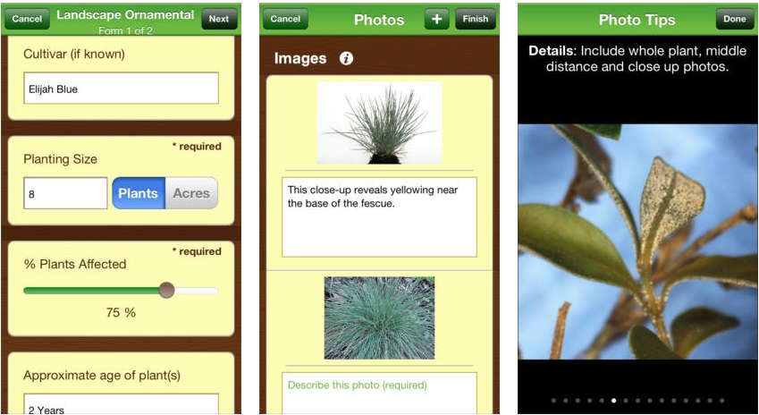 5. Plant Diagnostic Sample Submission