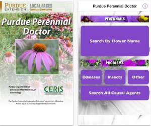 6. Purdue Perennial Doctor