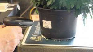 Don’t Underestimate The Value Of Post Harvest Quality At Retail
