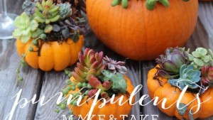 9 Digital Marketing Resolutions For 2015