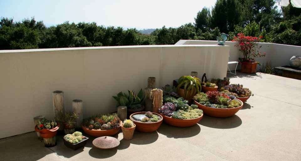 Idea 1: Container Gardens