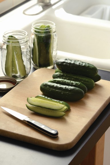 Cucumber ‘Fresh Pickles’ (Burpee Home Gardens)