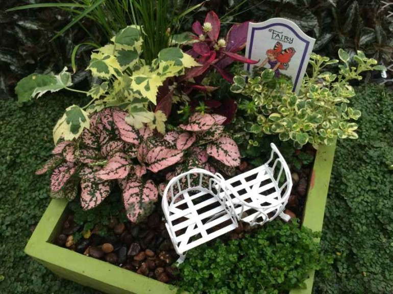 Miniature Garden With Bench
