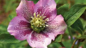 Gain Greater Control Of Fertilizer With Automated Fertigation