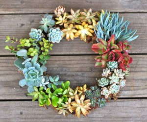 Idea 9: Living Wreaths