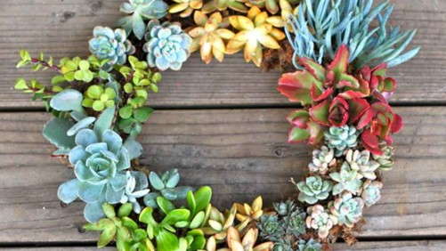 10 New Succulents, Plus 11 Great Ways To Use Them [Slideshow]