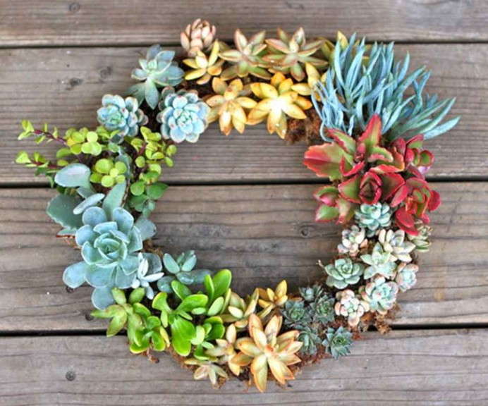 Idea 9: Living Wreaths