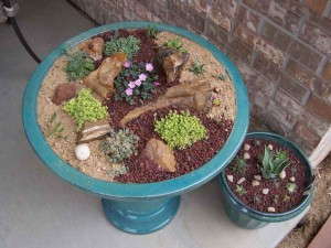 Idea 7: Miniature Gardens 