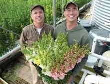 Precision Irrigation:  How And Why?