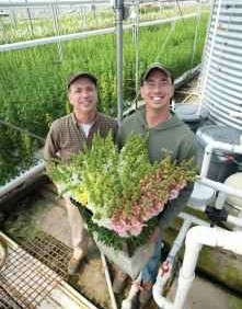 Precision Irrigation:  How And Why?