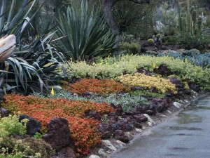 Idea 8: Landscapes